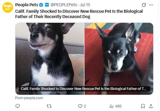 DNA檢測揭曉:齊吉竟是魯夫斯的親生父親,震驚全家與救援中心。(圖/翻攝自X)