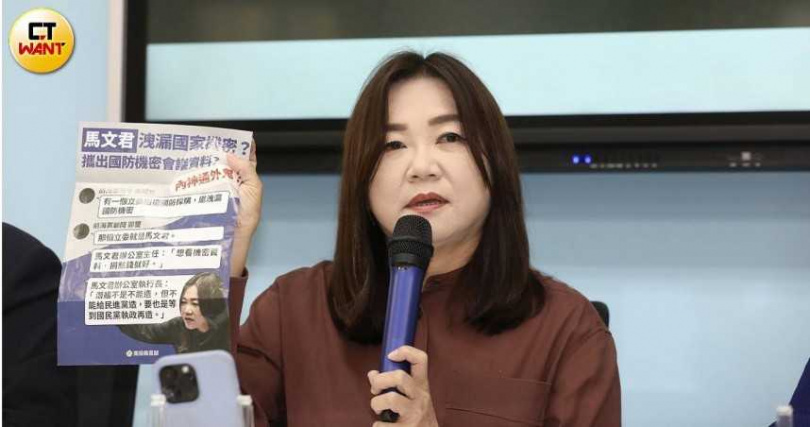 國民黨立委馬文君表示，藍白提案彈劾總統賴清德，目的在捍衛民主憲政體制。（資料圖／CTWANT攝影組）