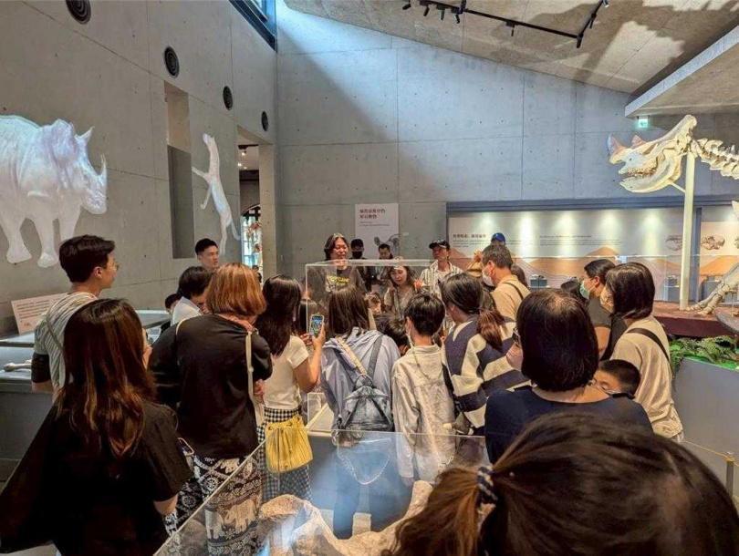 左鎮化石園區12歲以下兒童每日免費入館，人潮滿滿。（圖／文化局提供）