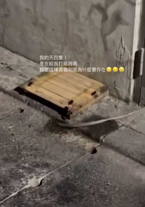 台北知名老店容器放水溝。(圖/Threads@rox_shih授權提供)