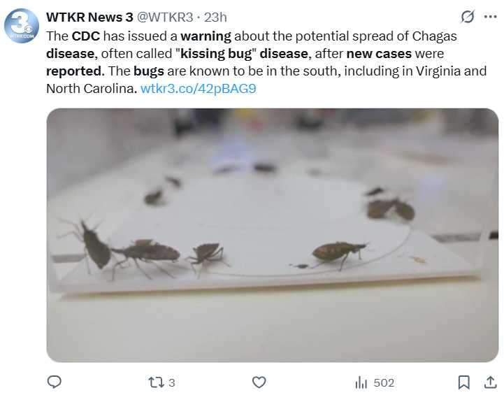 美國至少已有8州出現接吻蟲傳播恰加斯病的本土病例,德州通報數量最多,疫情值得關注。(圖/翻攝自x,@WTKR3)