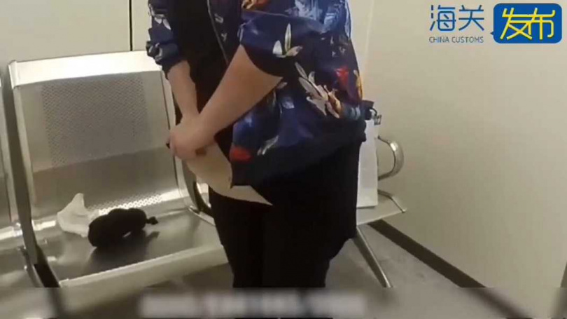 該批活體龜均是南美陸龜。（圖／翻攝自微博）