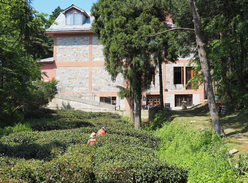 登365層階梯方能抵達的藏傳佛教「諾那塔院」茶園。（圖╱吳德亮攝）