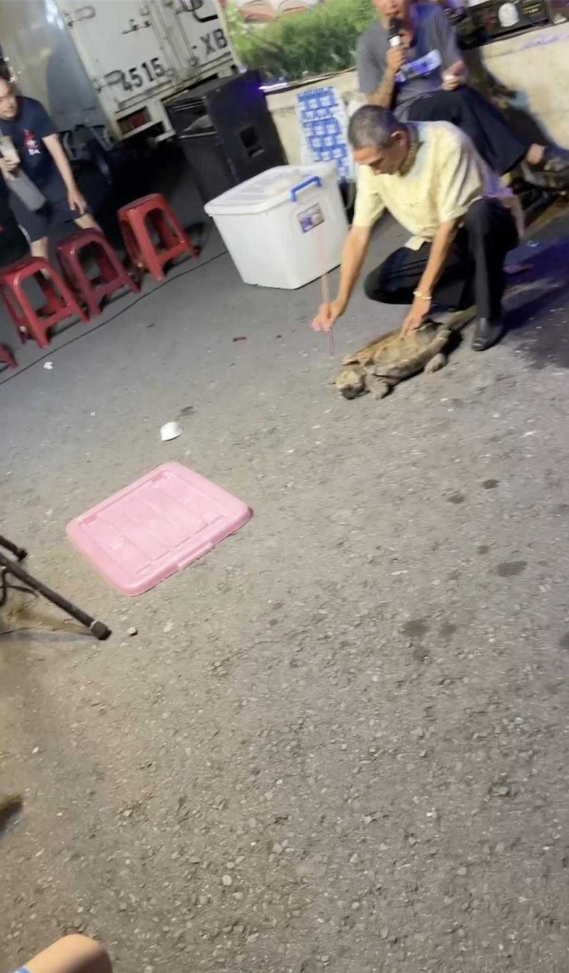 高雄旗山夜市近日一處攤位以宗教名義展示活體蟒蛇與大鱷龜，現場卻出現拍打蛇體、強迫互咬、焚香畫符等行為，引發虐待動物疑慮，民眾不滿怪力亂神行徑，將影片公開並向市府檢舉。（圖／翻攝照片）
