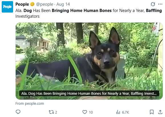 警方在奇卡林最近一次帶回骨骸後，進一步於林地找到更多遺骸。（圖／翻攝自X，@people）