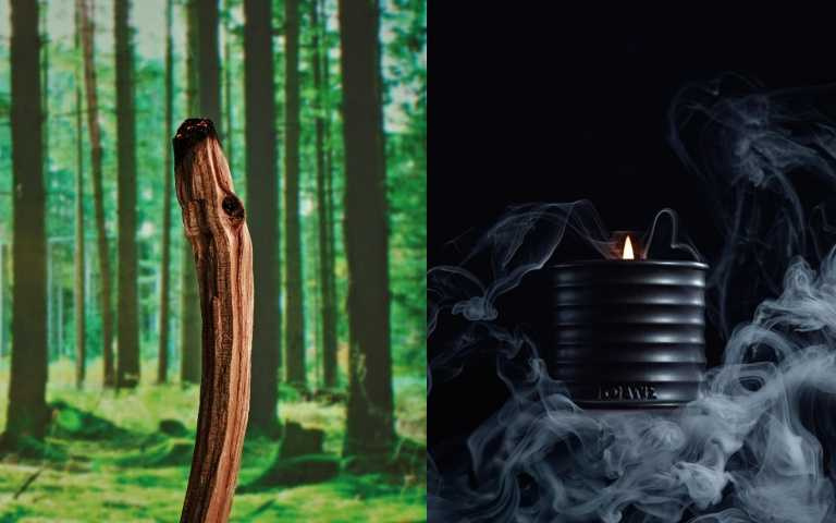 LOEWE 聖木香氛蠟燭 170g / 3,490元、610g / 8,950元(圖/品牌提供)