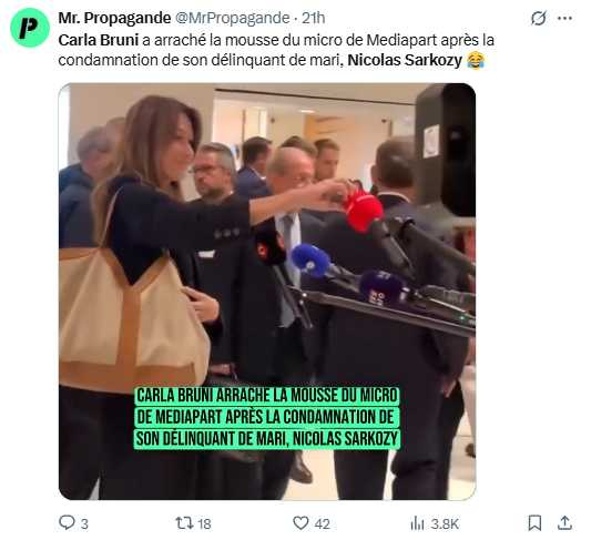 布魯妮情緒激動，將《Mediapart》記者麥克風的紅色防風套扯下丟地。（圖／翻攝自X， @MrPropagande ）