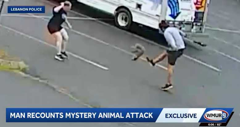 神秘動物撲向豪爾德腿部並咬住腳,他最後只能用腳將牠踢開脫困。(圖/翻攝自wmur.com)