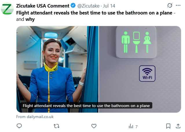 專家建議，登機前先上洗手間，並在飛行途中避開餐後與廣播後的尖峰時段。（圖／翻攝自X）