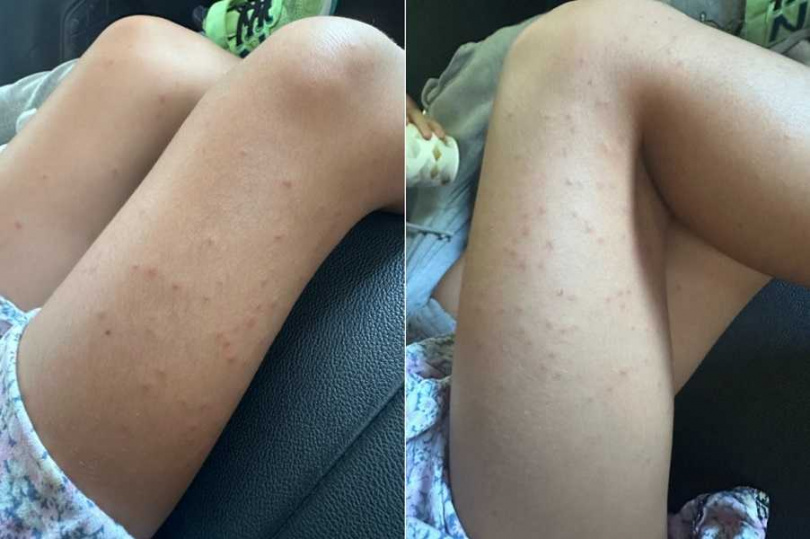 原PO痛批業者處理態度消極。（圖／翻攝自爆料公社）