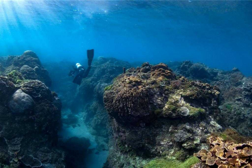 墾丁海底世界相當迷人，是潛水客天堂，但近來傳出下雨後海底混濁情況，且澄清時間較以往更久。（圖／資深潛水教練提供）
