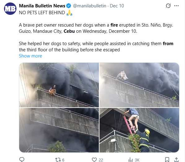 三樓濃煙滾滾,女子最終攀上雲梯脫險。