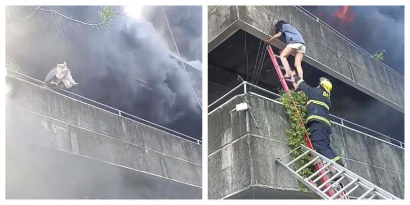 三樓濃煙滾滾,女子最終攀上雲梯脫險。