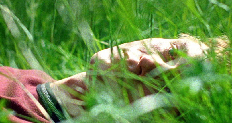 恩佐布魯姆《你是不會當樹嗎》暗戀女同學，靜靜將愛意藏在植物裡。（圖／海鵬提供）