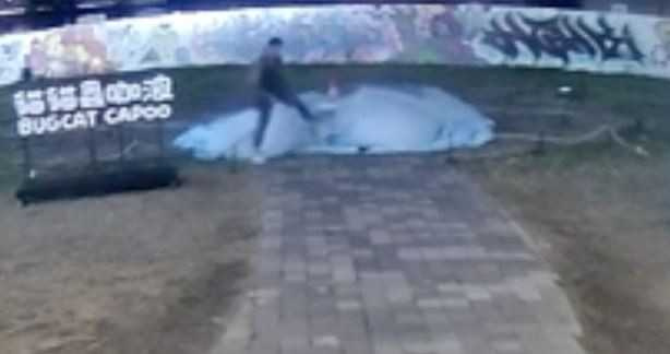 男子踏過咖波「屍體」後逃跑。（圖／翻攝畫面）