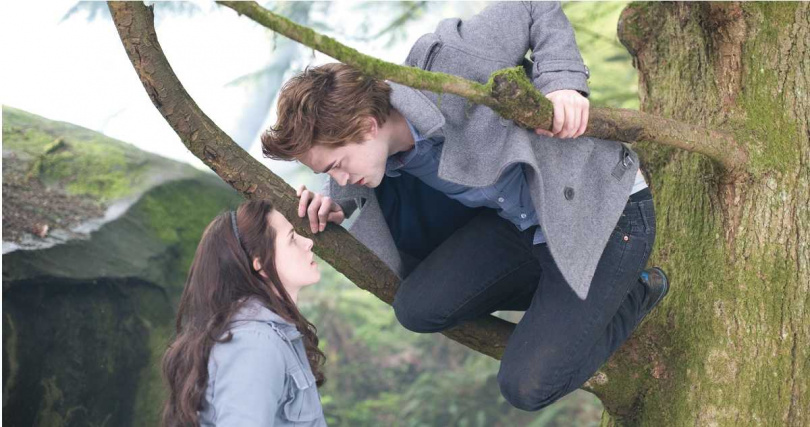 自2008年電影上映以來，《暮光之城》不僅掀起全球熱潮，系列電影更狂攬超過30億美元票房。（圖／牛耳藝術提供）