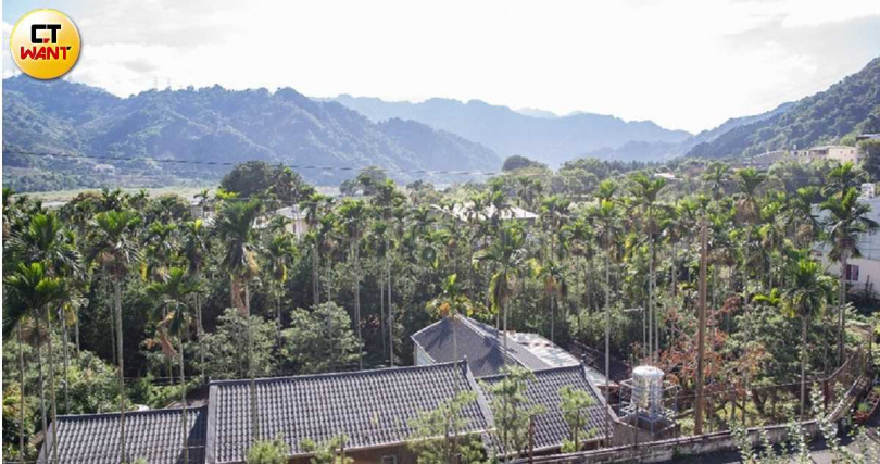 閣揆卓榮泰提到新台幣636億元追加預算中，部分會用來支付禁伐補償金。（示意圖／黃威彬攝）