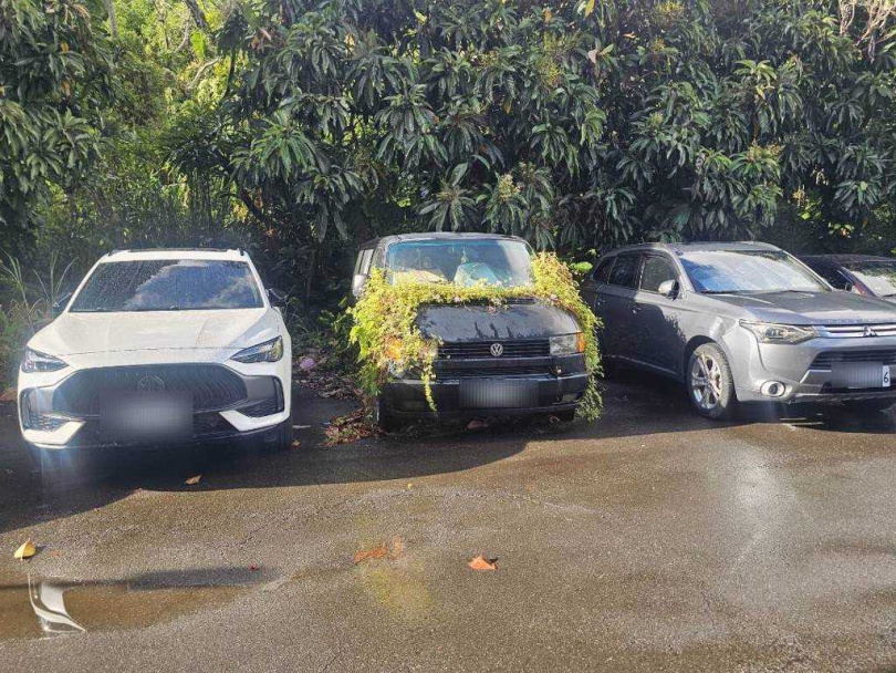 車頭長滿植物的廂型車,彷彿都市中的『行動花圃』,成為意外的街景焦點。(圖/中時新聞網游定剛)
