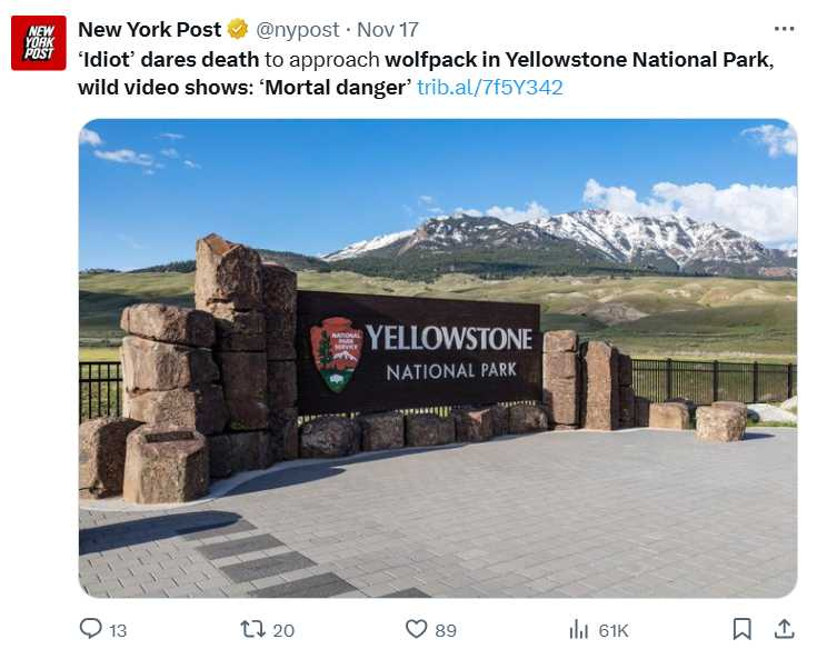 黃石公園規定遊客不得靠近野生動物100碼內，違者恐面臨生命危險與法律責任。（圖／翻攝自X，New York Post）