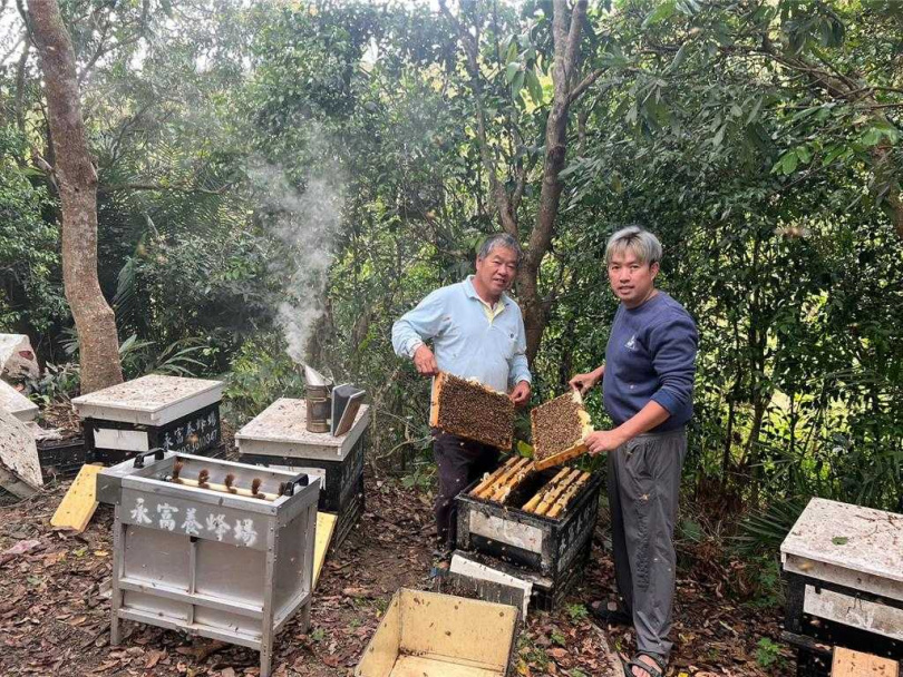 內門蜜蜂產銷班班長蔡宗國（左）指出，自己從事養蜂已超過40年，但這幾年氣候不穩，花況變化大，使得產量起伏不定，養蜂業風險加劇。（圖／中國時報林雅惠攝）