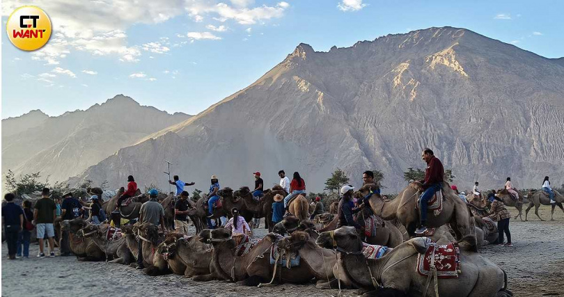 黃昏時分來到漢德爾沙丘體驗騎乘駱駝行走一段古絲路的樂趣。（圖／魏妤靜攝）