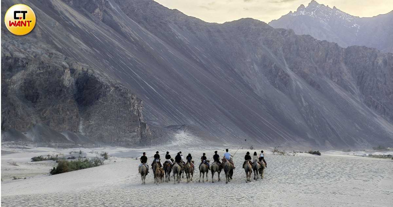 當現代旅人騎上雙峰駱駝，彷彿也變身駱駝商隊向著蒼茫大地前進。（圖／魏妤靜攝）