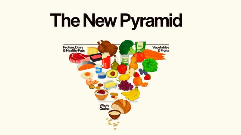 美國最新飲食指南以倒金字塔形式呈現。(圖/取自realfood.gov)
