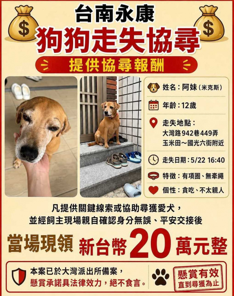 飼主吳小姐懸賞20萬找愛犬「阿妹」。(圖/翻攝Threads)
