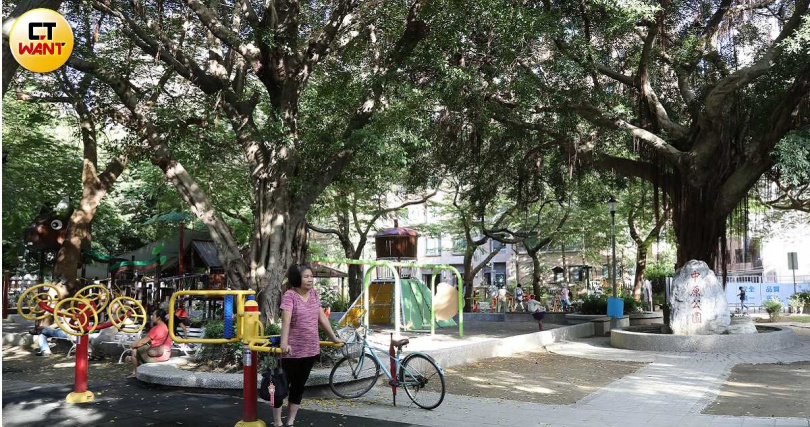 李倩萍積極推動中原公園改造，增設多項體健設施和松鼠造型組合遊具，成為附近民眾的城市綠洲。（圖／方萬民攝）&nbsp;