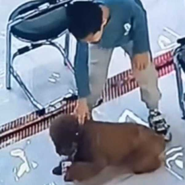 男童家長沒要求賠償，但狗主人主動分攤費用。（圖／翻攝自微博）