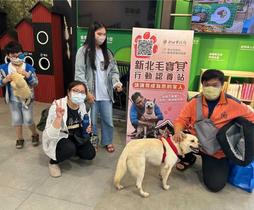   陳小姐現場認養「香草」，決定把毛小孩帶回家。（圖／新北市政府動物保護防疫處提供）