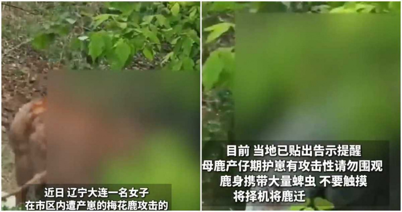 所幸女子身體只有擦傷。（圖／翻攝央廣網）
