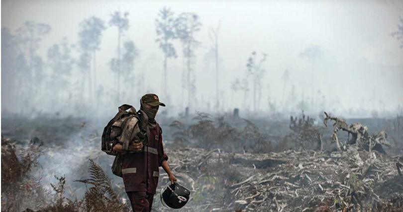 印尼乾季加劇森林火警，北與西蘇門答臘燒毀面積達46公頃。（資料照／達志／美聯社）