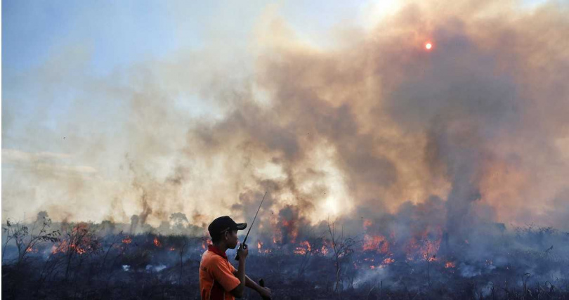 印尼乾季加劇森林火警，北與西蘇門答臘燒毀面積達46公頃。（資料照／達志／美聯社）
