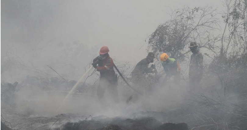 森林火災集中於北蘇門答臘西馬龍貢縣及西蘇門答臘丹那達塔縣。（資料照／達志／美聯社）