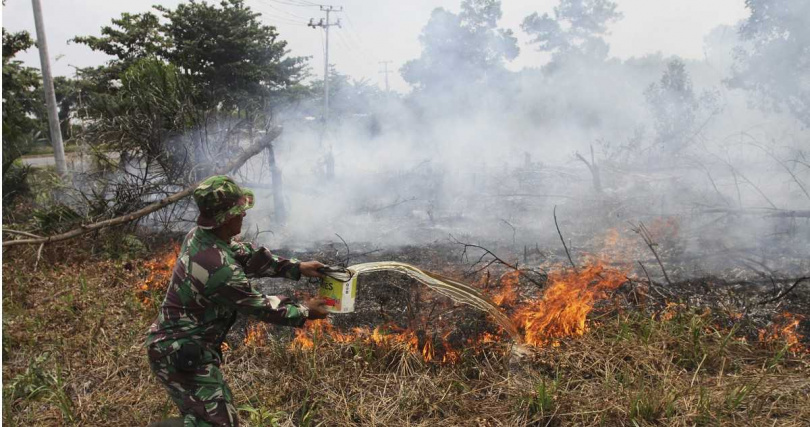 森林火災集中於北蘇門答臘西馬龍貢縣及西蘇門答臘丹那達塔縣。（資料照／達志／美聯社）