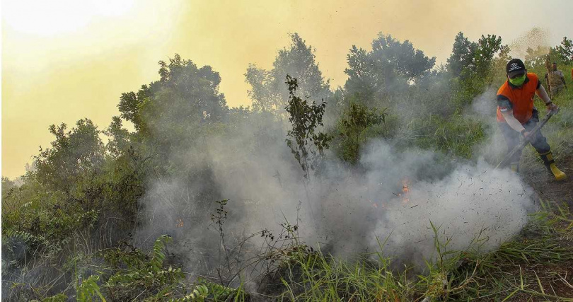 印尼乾季加劇森林火警，北與西蘇門答臘燒毀面積達46公頃。（資料照／達志／美聯社）