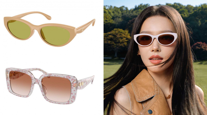 （圖／品牌提供）