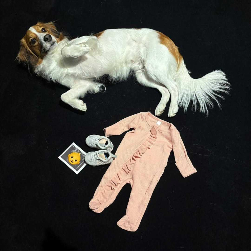 大谷翔平公開妻子懷孕喜訊。（圖／大谷翔平IG）