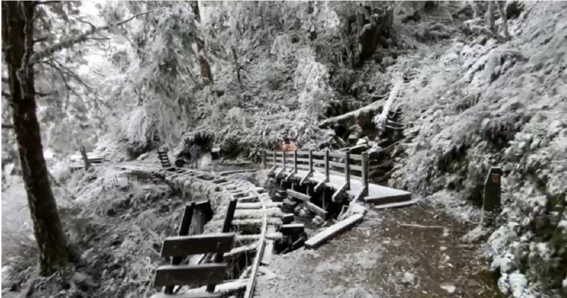 宜蘭縣太平山國家森林遊樂區9日清晨最低溫降到攝氏零下2度，一度下起冰霰，加上昨日的殘雪，出現白雪皚皚美景。（林業及自然保育署宜蘭分署提供／吳佩蓉宜蘭傳真）