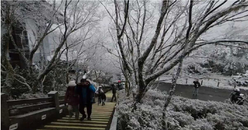 宜蘭縣太平山國家森林遊樂區9日清晨最低溫降到攝氏零下2度，一度下起冰霰，加上昨日的殘雪，出現白雪皚皚美景。（林業及自然保育署宜蘭分署提供／吳佩蓉宜蘭傳真）