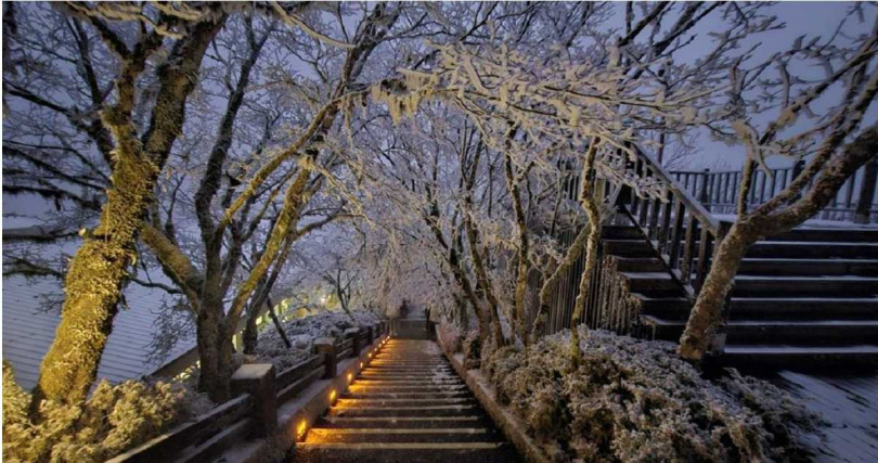 宜蘭縣太平山國家森林遊樂區9日清晨最低溫降到攝氏零下2度，一度下起冰霰，加上昨日的殘雪，出現白雪皚皚美景。（林業及自然保育署宜蘭分署提供／吳佩蓉宜蘭傳真）