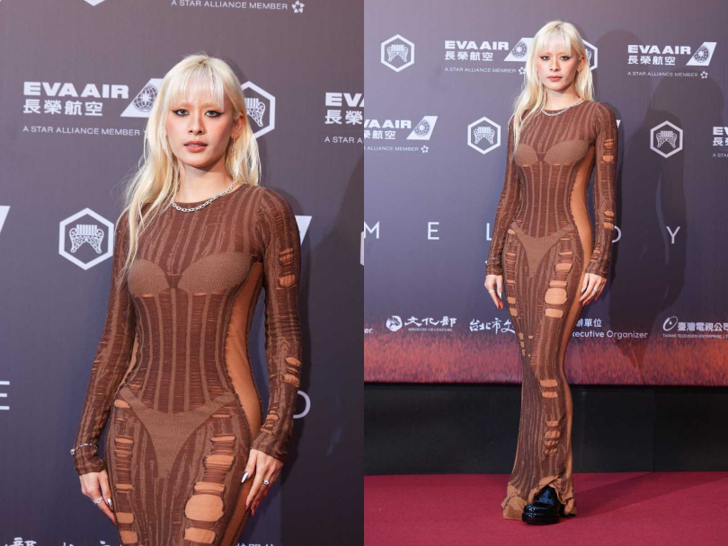 （圖／台視提供）