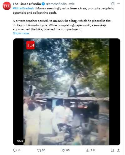 北方邦奧萊亞一隻猴子從機車置物箱搶走現金後，爬上樹枝大肆揮灑鈔票。（圖／翻攝自X，@timesofindia）