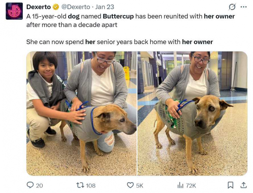 與家人分離10年後，巴特卡普奇蹟重逢。（圖／翻攝自X，@Dexerto）