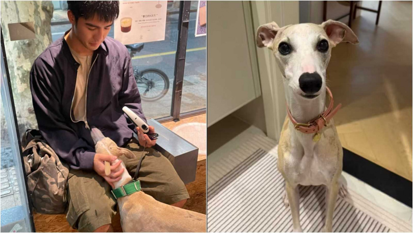 陳昊森養了一隻義大利灰獵犬「陳環法」，是他在大陸的「新家人」。（圖／翻攝小紅書）