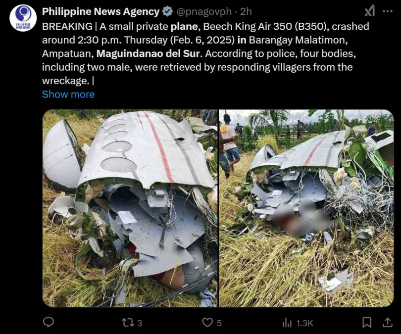 菲律賓一架私人飛機6日下午兩點半左右墜毀，機上4人全部罹難。（圖／翻攝自X）