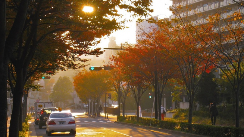   原PO詢問究竟該在學區內購買房產，以確保孩子能進入明星學校，還是要直接選擇就讀私立學校。（示意圖，非文中提及房產／取自pixabay）  