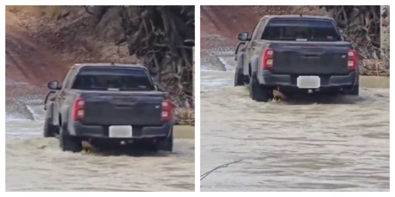 事發地點卡希爾斯渡口為澳洲知名鱷魚棲地，水位高漲時經常發生危險狀況。