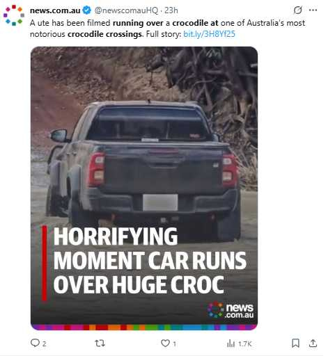 涉事鱷魚事後被發現仍在渡口附近水域游動，未見明顯受傷跡象。（圖／翻攝自IG）